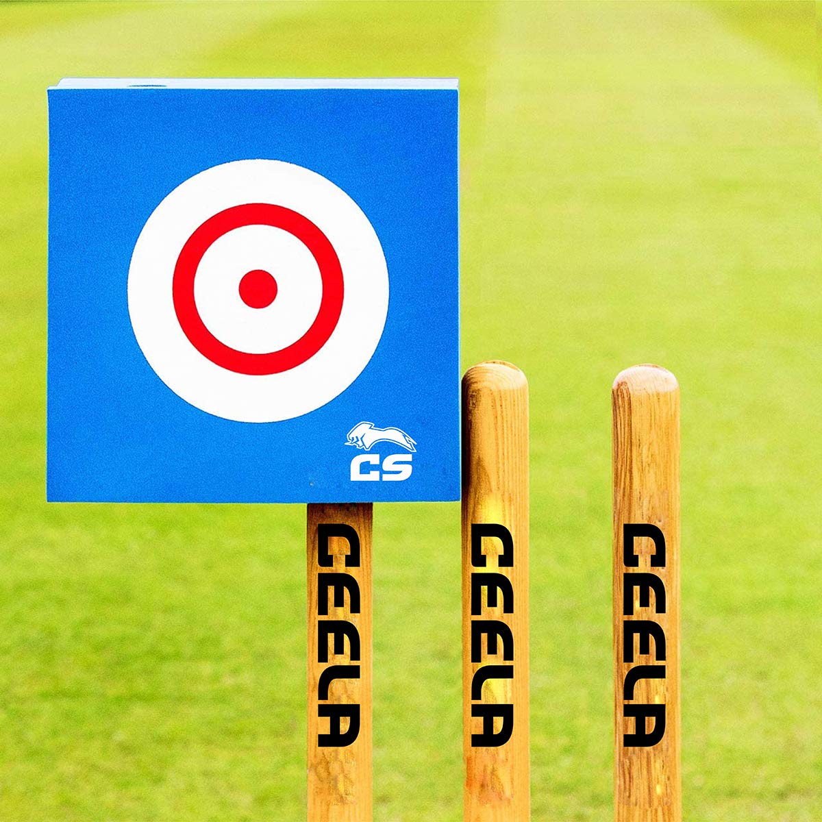 Ceela Sports Foam Bowling Target | Cricket Bowling Accuracy Practice Drills