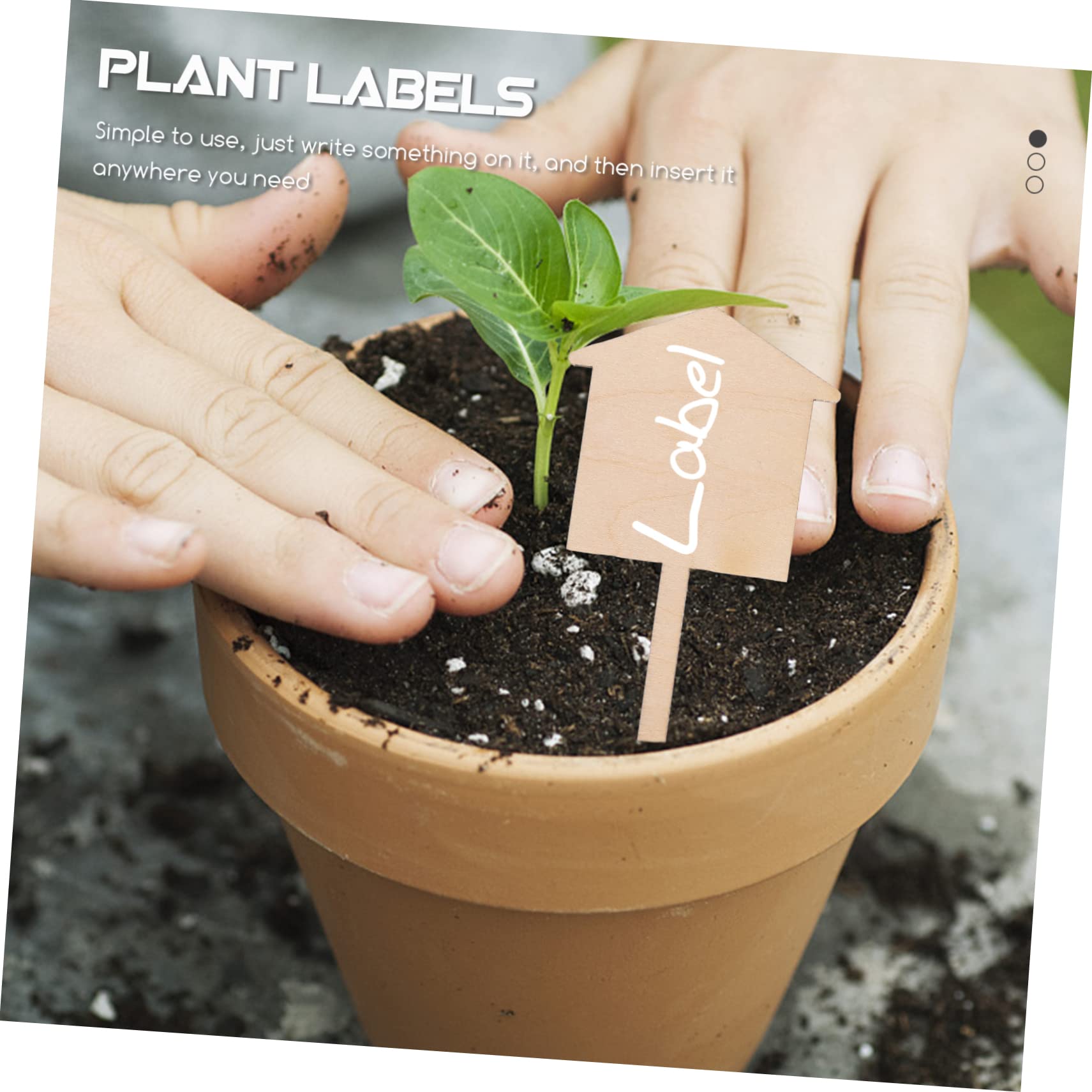BESPORTBLE 3 Ensembles Étiquettes Pour Plantes Étiquettes Pour Plantes De Jardin Marqueurs Pour Pots De es D'Intérieur Étiquettes Pour es Ornements Pour Piquets 50 pièces * 3