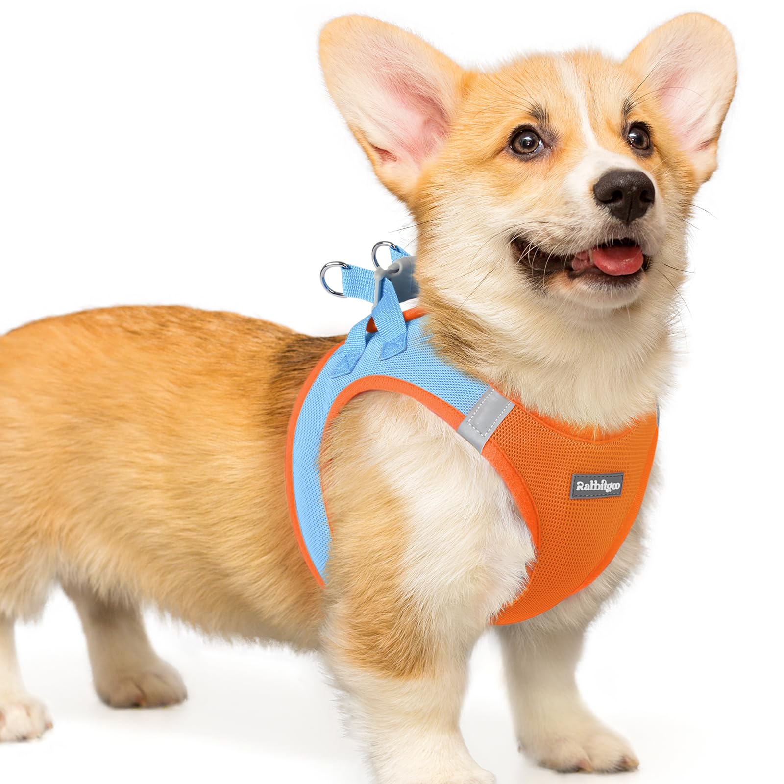 rabbitgoo Hundegeschirr kleine Hunde, Step-in Soft Mesh Hundegeschirr mit Sicherheitsverschluss, atmungsaktives und reflektierendes Welpengeschirr für kleine Hunde