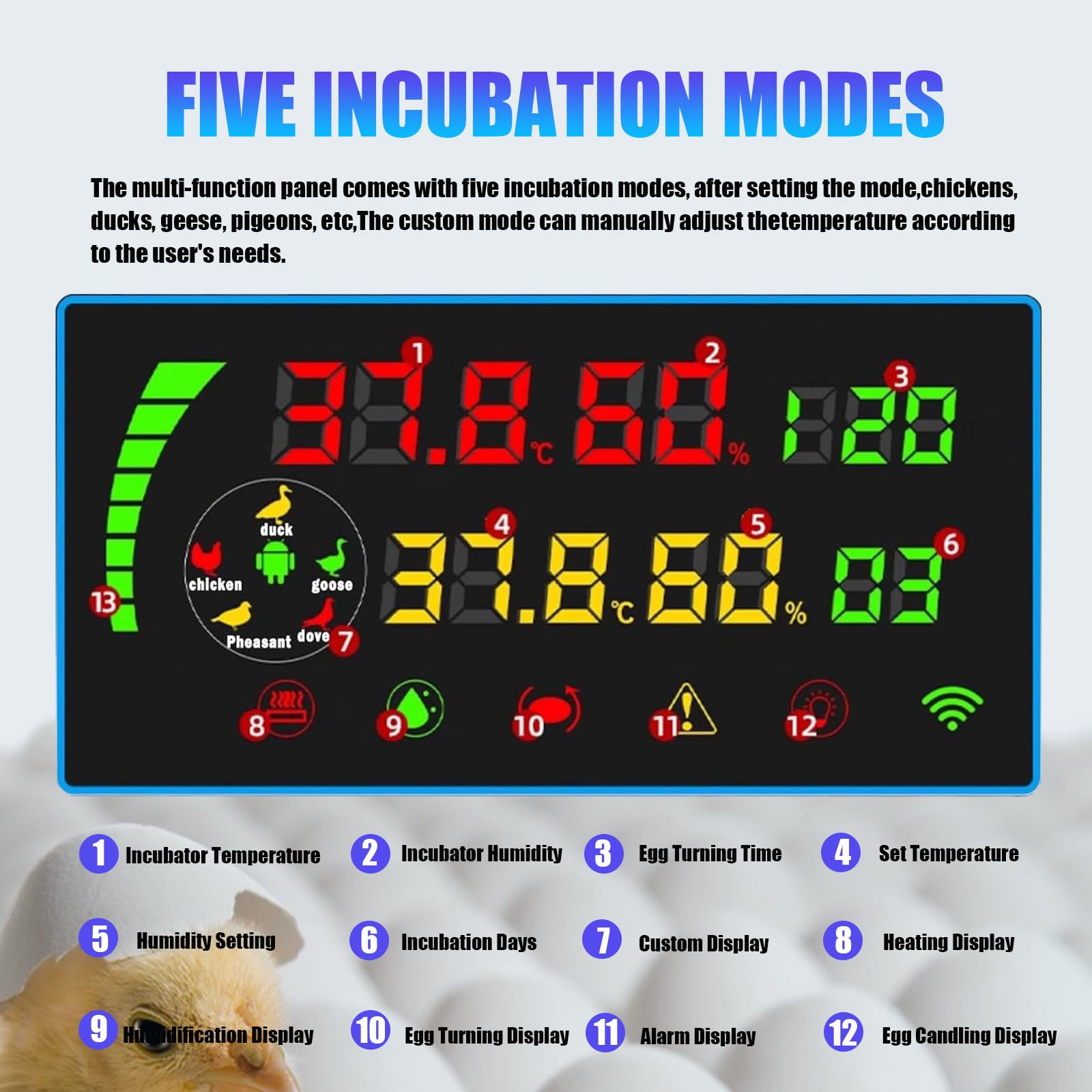 Incubadora Automática para 24 a 500 Huevos con Volteo Automático, Humidificación, Control De Temperatura Y Ovoscopio. 24eggs(singlelayer)