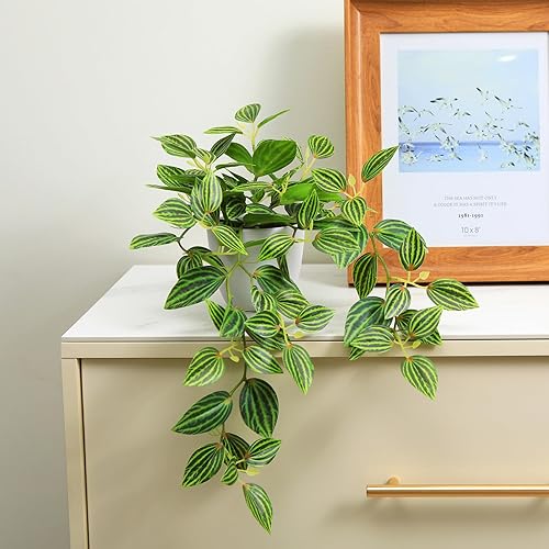 Miniatura 5 de Plantas falsas, plantas artificiales de sandía de peperomia sintética de 15 pulgadas para decoración de interiores y exteriores, plantas colgantes