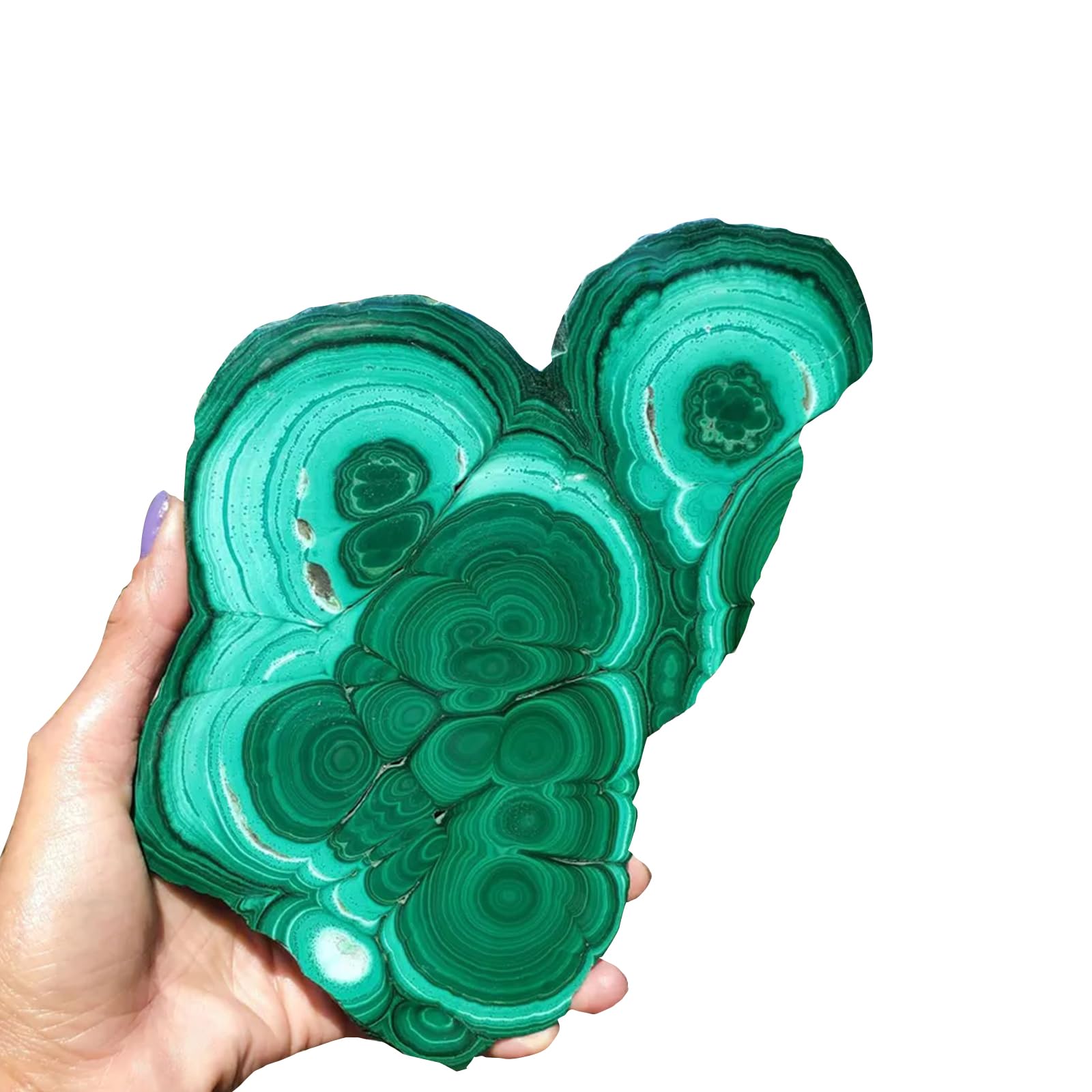 Natural Malachite Slice – Polished Mineral Crystal Specimen with Raw Stone