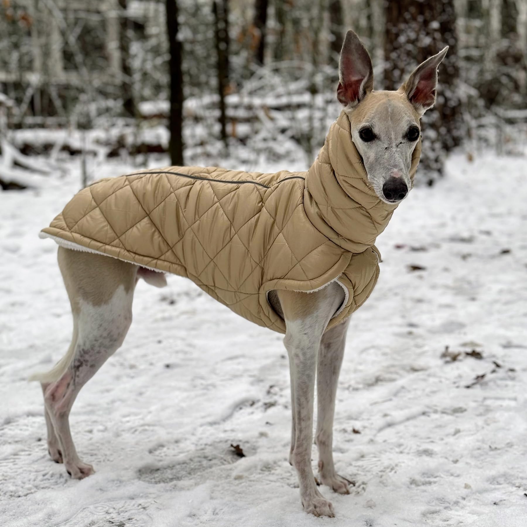 EDEL&SCHNELL Stepp-Wintermantel beige gefüttert mit Kunstpelz, Winterjacke Hund mit Reißverschluss, Hundemantel für große Hunde Rückenlänge 60-65 cm