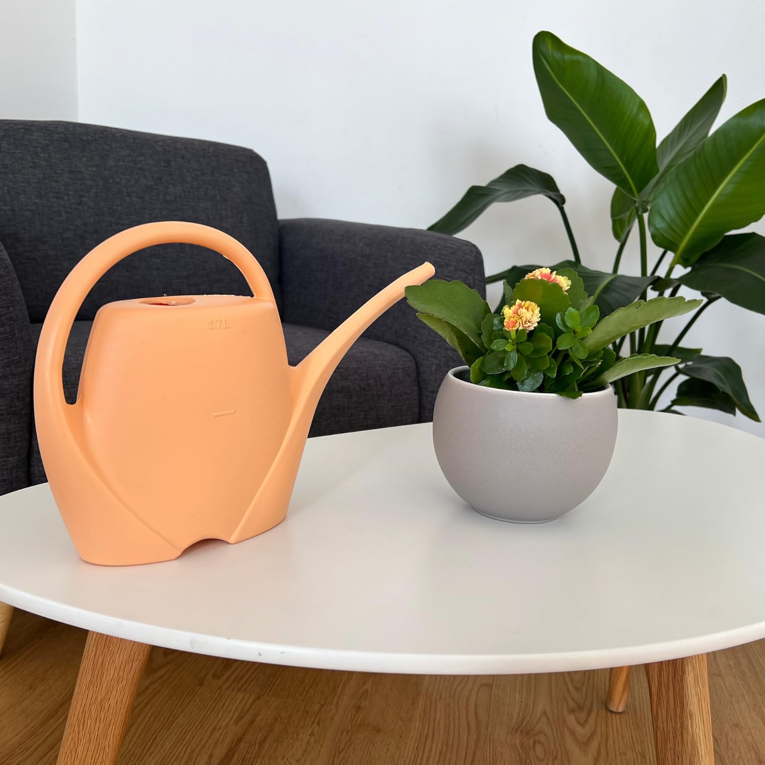 Watering Can Small for Indoor Plants 1.7 L - Made Plastic - Handy for Indoor Plants, Peach - Image 4