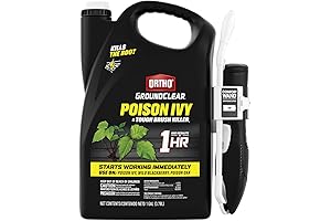 Ortho GroundClear Poison Ivy & Tough Brush Killer – Liquefy Weeds on Contact