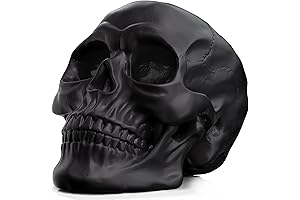 READAEER Black Skull Decor