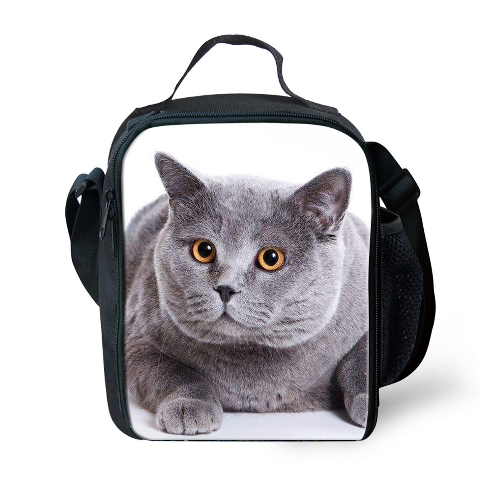 Amzbeauty Cat Lunch Box for Kids Insulated Reusable Portable Small Square Lunch Bag