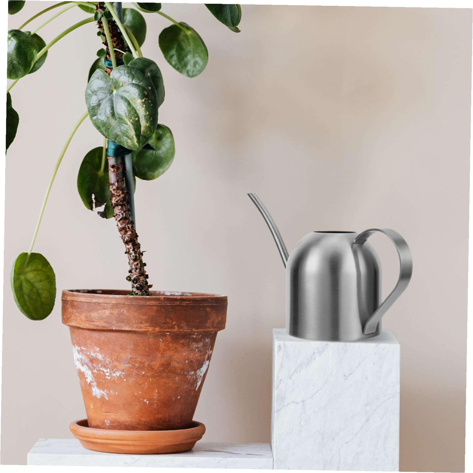 ARTIBETTER Annaffiatoio in Acciaio Resistente con Beccuccio Lungo Strumento per Giardinaggio di Fiori e Piante da Interno ed Esterno Resistente a Graffi e Corrosione per Irrigazione Precisa