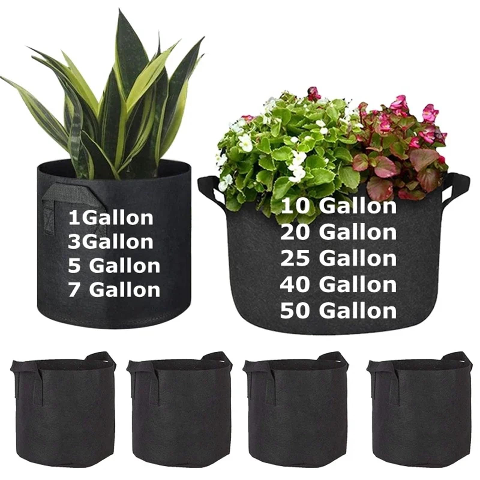 2 Bolsas de Cultivo for Verduras/Flores/Plantas, Macetas Tela Negra, for Fresas, Contenedores for Plantar Flores, Herramientas for el Hogar y Jardín(7 Gallon 30x35cm)