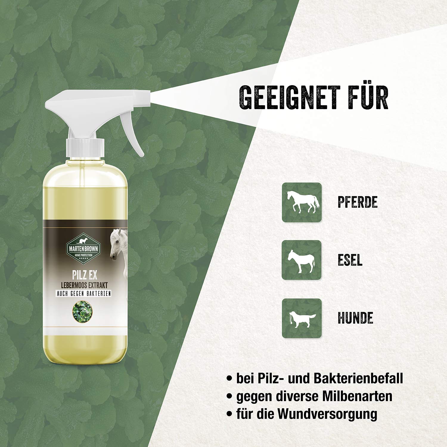 Martenbrown® Pilz Ex 500ml Lebermoos Extrakt für Bakterien und Pilzbefall bei Pferden, Eseln, Hunden und Anderen Tieren I Lebermoosextrakt auch gegen Milben und Pferdepilz