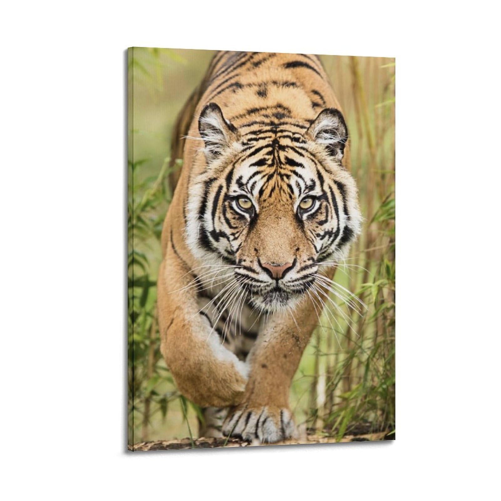 ZSZWHJ Wildlife Poster Sumatran Tiger Poster Decorative Painting Canvas Wall Posters And Art Picture Print Modern Family Bedroom Decor Posters 16x24inch(40x60cm)