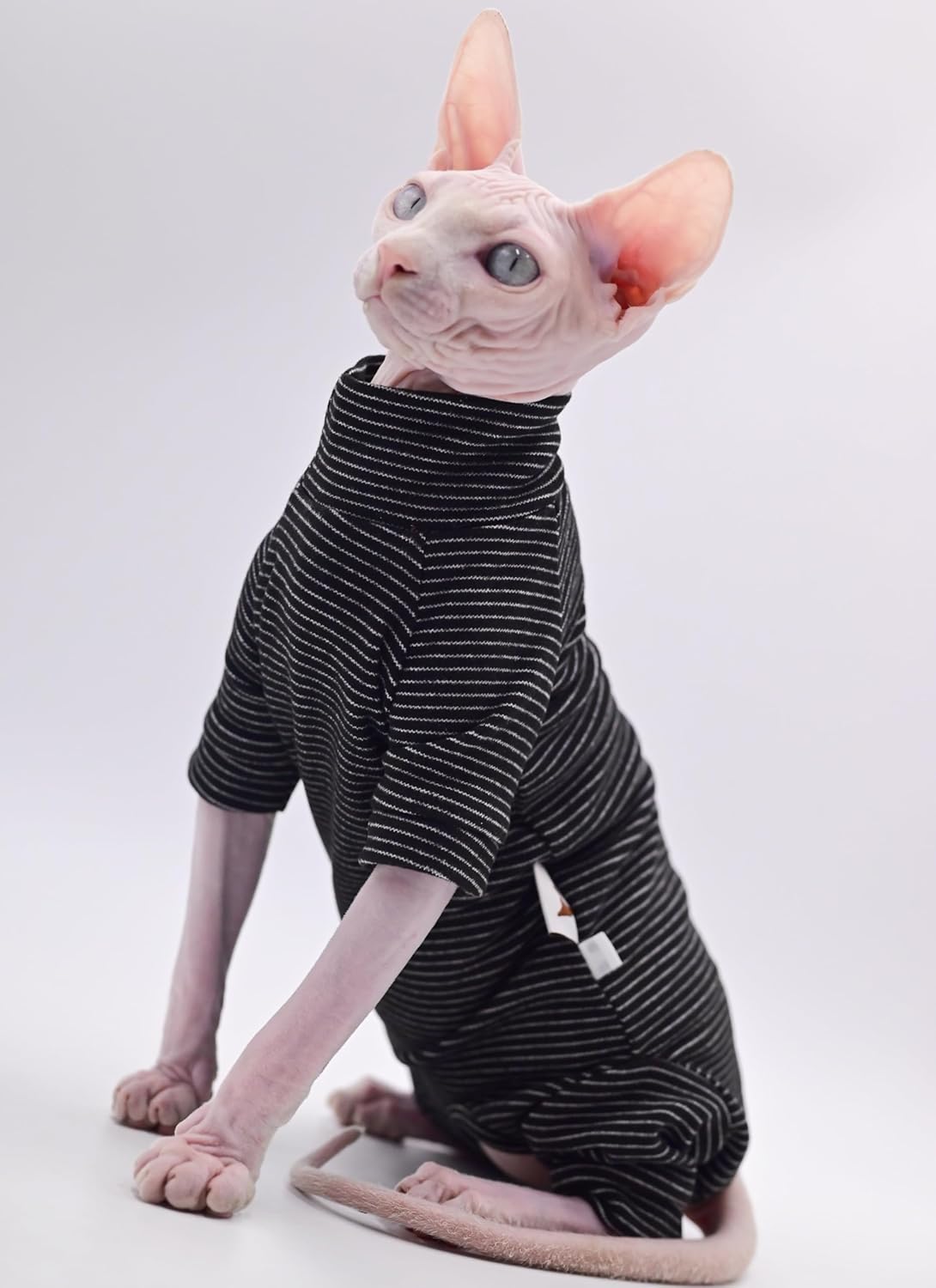 無毛猫服、暖かくて柔らかい秋冬、スフィンクス猫、デボンレックス猫、コーニッシュ猫用4本足パーカー(パープル、XS)