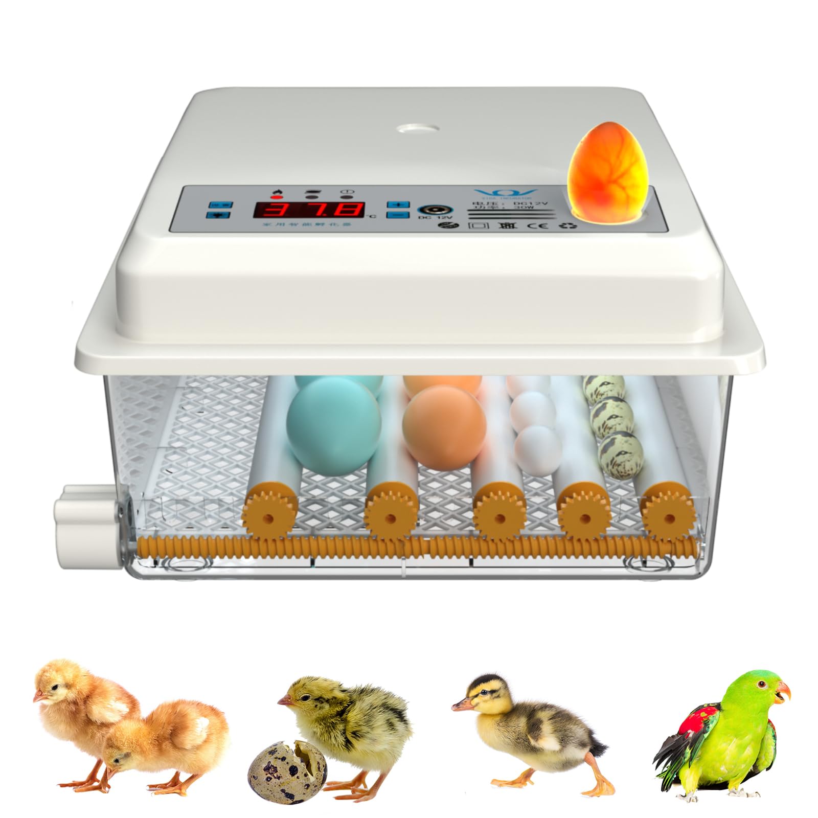 Incubatrice Uova Automatica 12 Posti - Per Polli, Anatre, Quaglie Con Controllo Temperatura - Foto 9