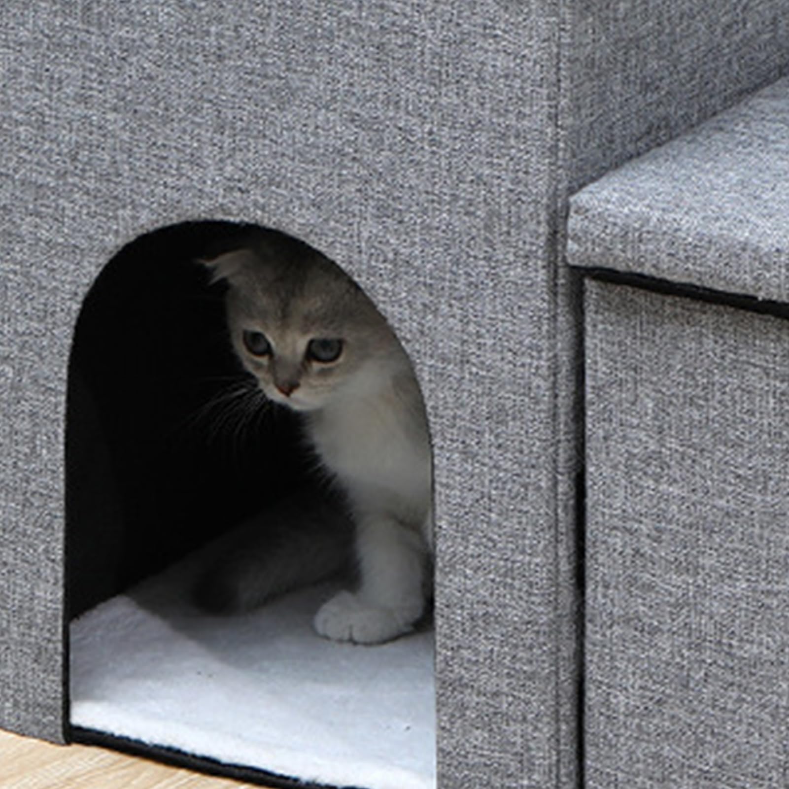 Gradini per animali domestici – 40 cm di altezza, pieghevole per gatti | Lampada per cani, e durevole, resistente all'usura e stabile, per cani anziani, gatti, zim