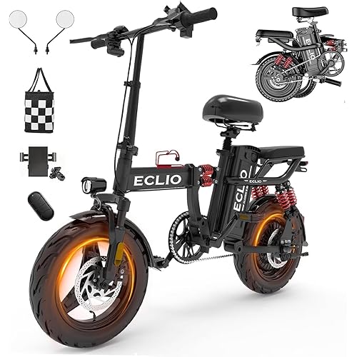 DDC SPORT Folding Electric Bike for Adults, Peak 800W Motor 25MPH, 48V 14Ah Removable Battery 35-55Miles Ebike,14'' Lightweight & Portable Adults Electric Bicycles for Men/Women/Teens