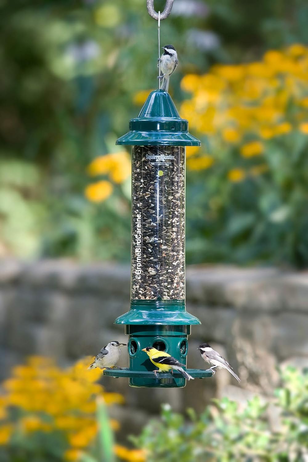 Brome,Squirrel Buster Plus 6"x6"x28" (w/hanger) Wild Bird Feeder with Cardinal Ring and 6 Feeding Ports, 5.1lb Seed Capacity, 2 Pack : Patio, Lawn & Garden