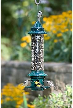 Explore Rat Proof Bird Feeders For Outside Amazon Com
