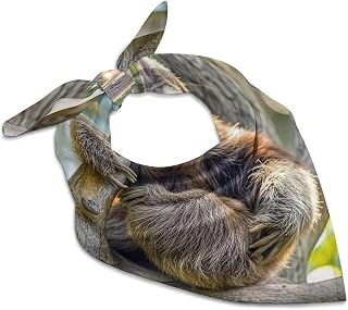Satin Square Scarf for Women 25 Inch Soft Silk Like Scarves Elegant Lightweight Funny Sloth Bandanas Fashion Scarf for Hair Neck Bag Purse Versatile Dressy & Casual Accessory Gift