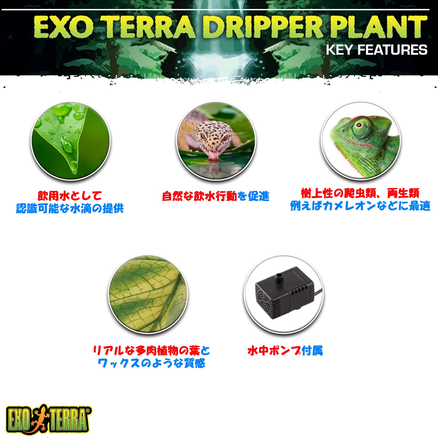 Amazon.co.jp: Exo Terra ドリッパープラント Large 爬虫類 両生類