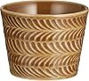 Hasamiyaki 323084216 Soba Boar Cup Approx. 5.1 fl oz 150 ml, Rosemary, Amber, Brown, Made in Japan