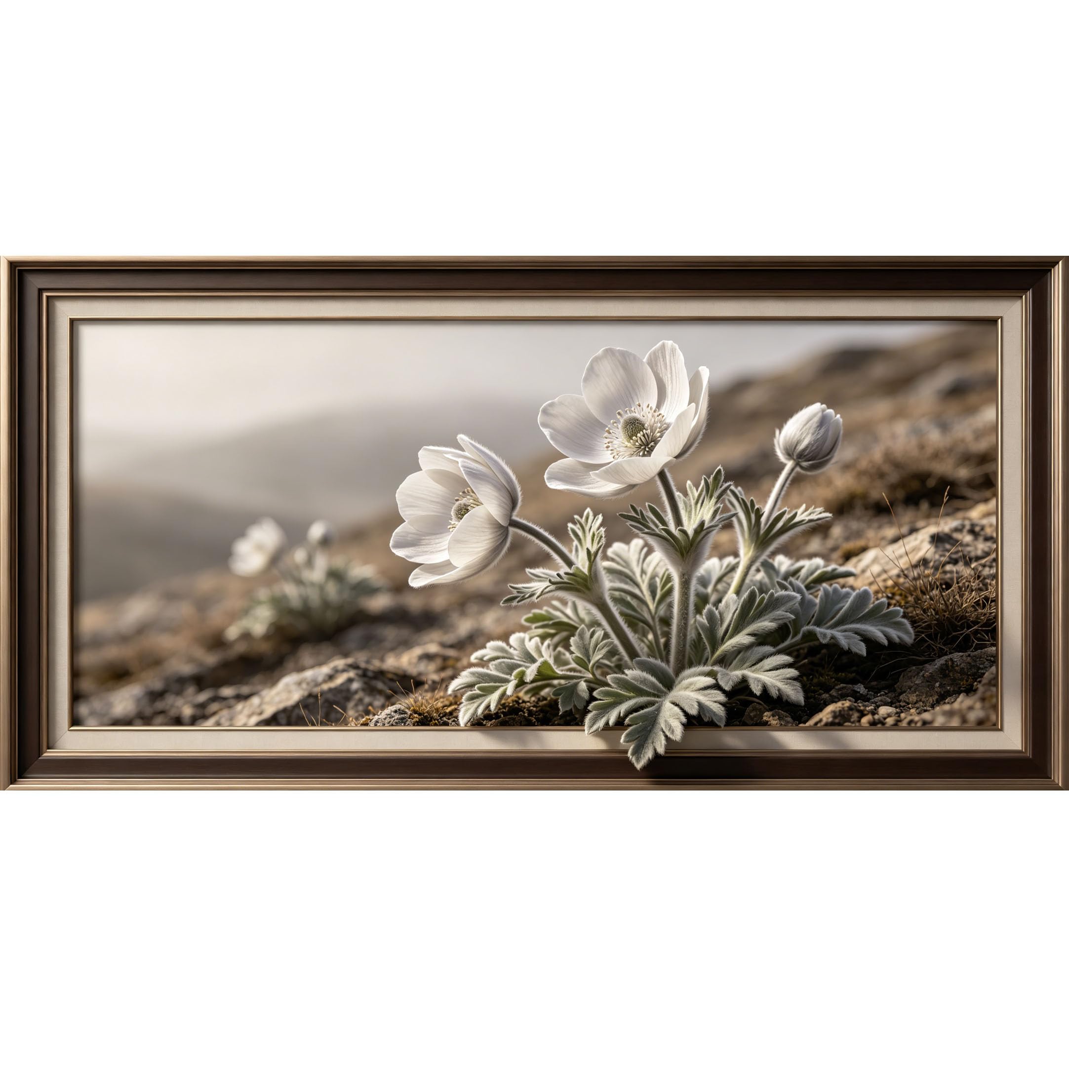 Agglomerix 3D Framed Wall Art White Alpine Pasqueflower Botanical Minimalist Textured Large Size SelfAdhesive Removable Wall Decor Prints Artwork for Living Room Bedroom Office
