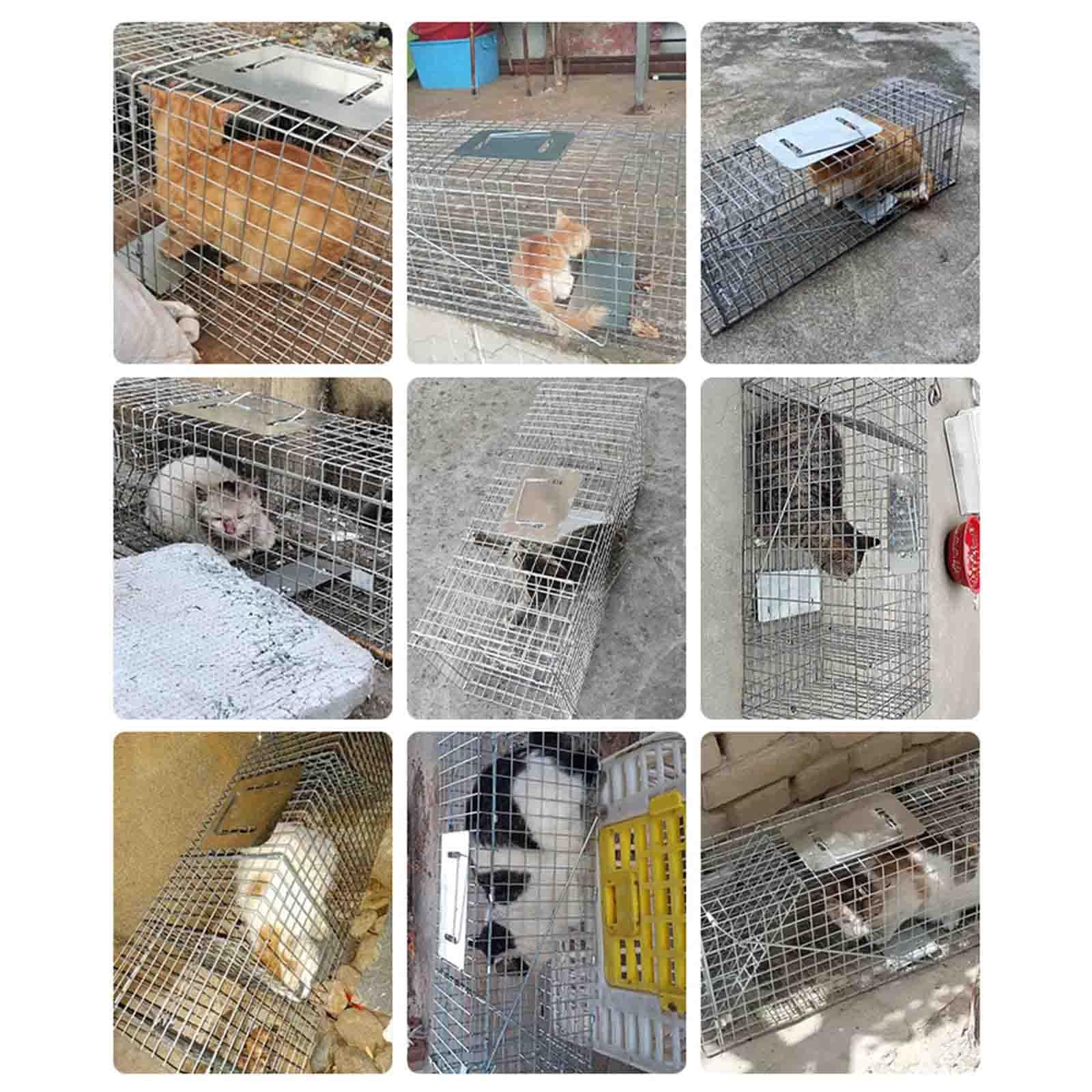 ネコ用捕獲機 『ドロップトラップ』 トマホーク ドロップトラップ購入🐱 捕獲器に入らない子とか