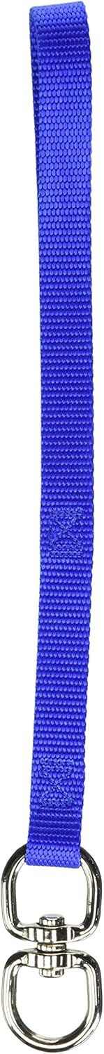 Pet Leash for Dog, Medium, Blue