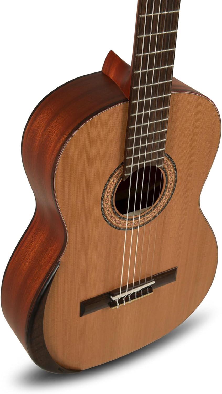 Manuel Rodriguez Tradicion T-65 4/4-4/4 classical guitar