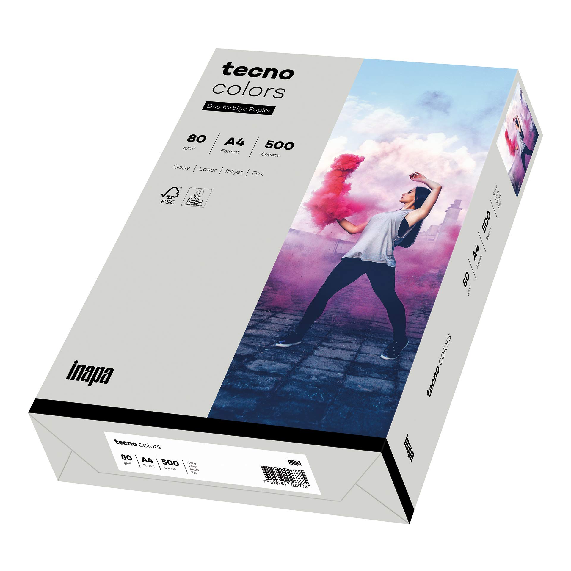 inapa farbiges Kopierpapier, buntes Papier tecno Colors: 80 g/m², A4, 2.500 Blatt (5x500), grau, 80g / m²