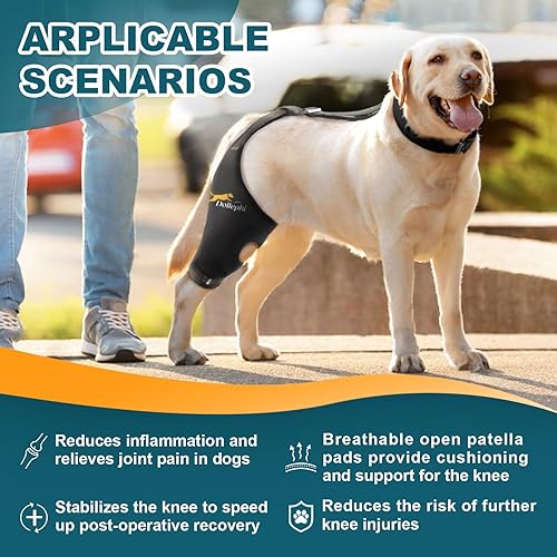 Miniatura 4 de Rodillera para perro para pierna trasera desgarrada del ligamento cruzado anterior, soporte para luxación de rótula u osteoartritis, lesiones