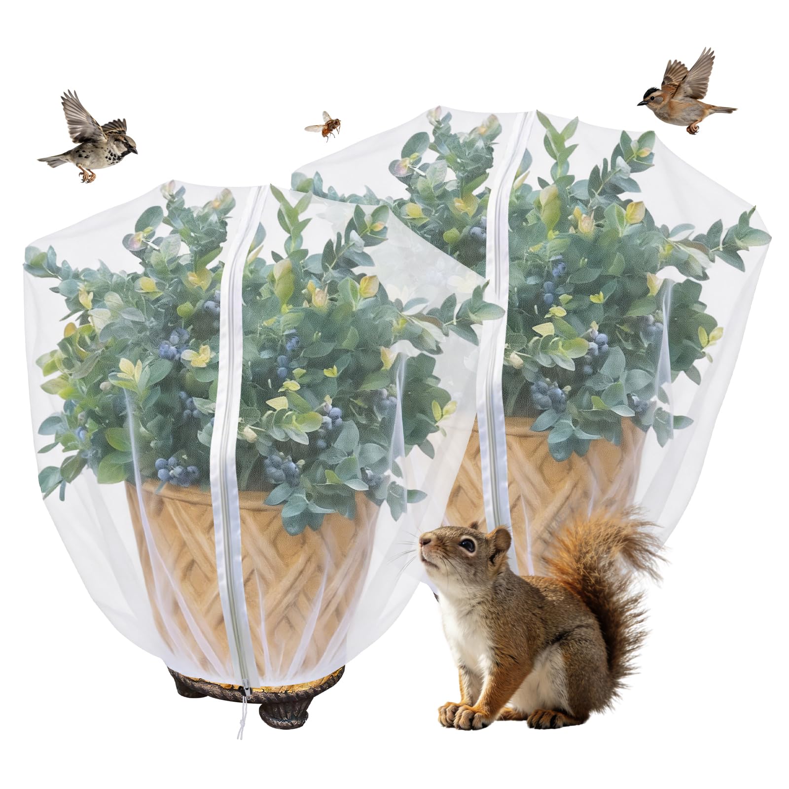 Photo 1 of BobbleT Blueberry Bush Netting Cover - 2 Pack, 4.5 x 4.5 ft, White