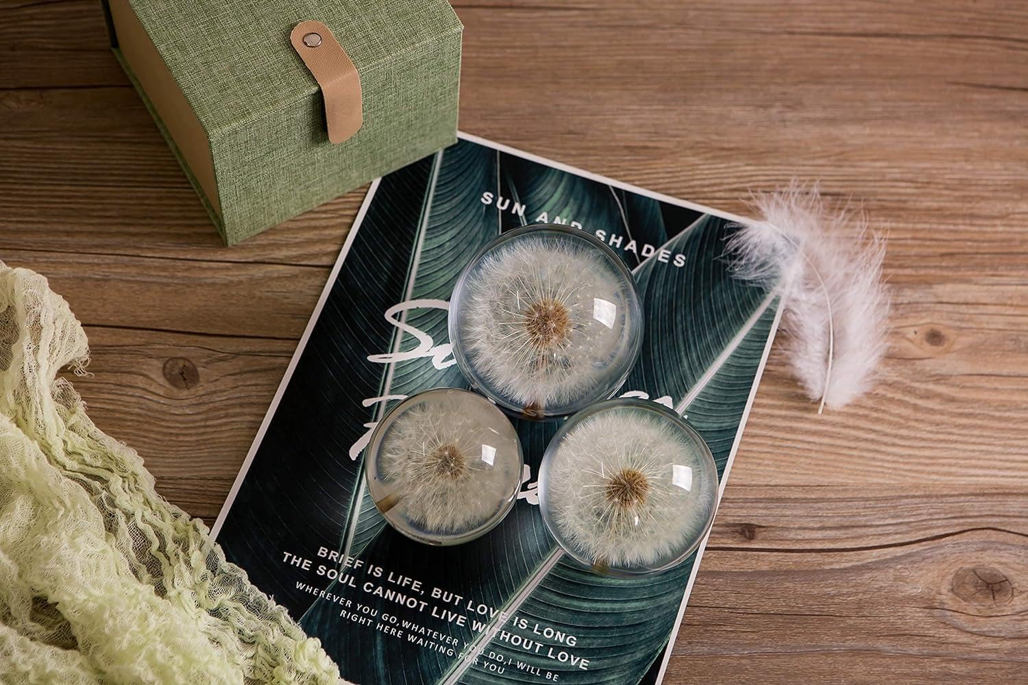 Wunscherfüller Pusteblume Briefbeschwerer Löwenzahn, EIN Traumball. Kristall Wunschkugel. Einzigartiger Briefbeschwerer aus Löwenzahn (Durchmesser*9CM)