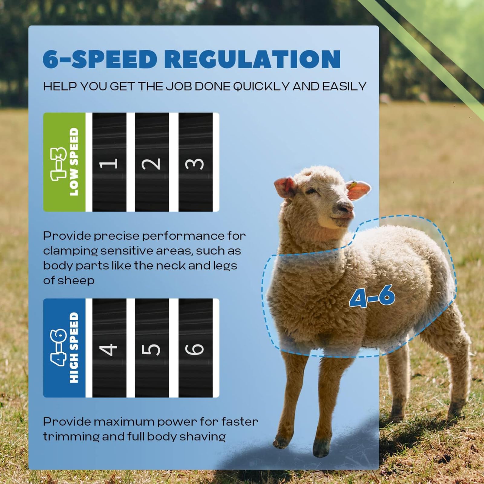 Cesoie Elettriche Professionali per Pecore, Tosatrice per Bestiame Agricolo, Tosatrice per Cavalli, Kit Elettrico per Toelettatura Animali,per Bovini Equini Capre Pony,220V