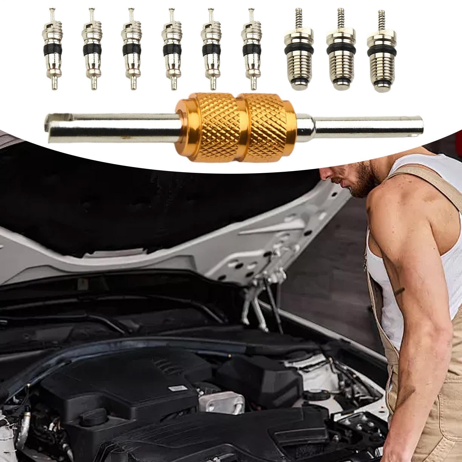 Kit nucleo valvola AC – Strumenti di riparazione aria condizionata auto, set di 10 nuclei valvola R134a con guarnizioni ad alta pressione, nucleo refrigerazione camper, ricambi auto AC per garage