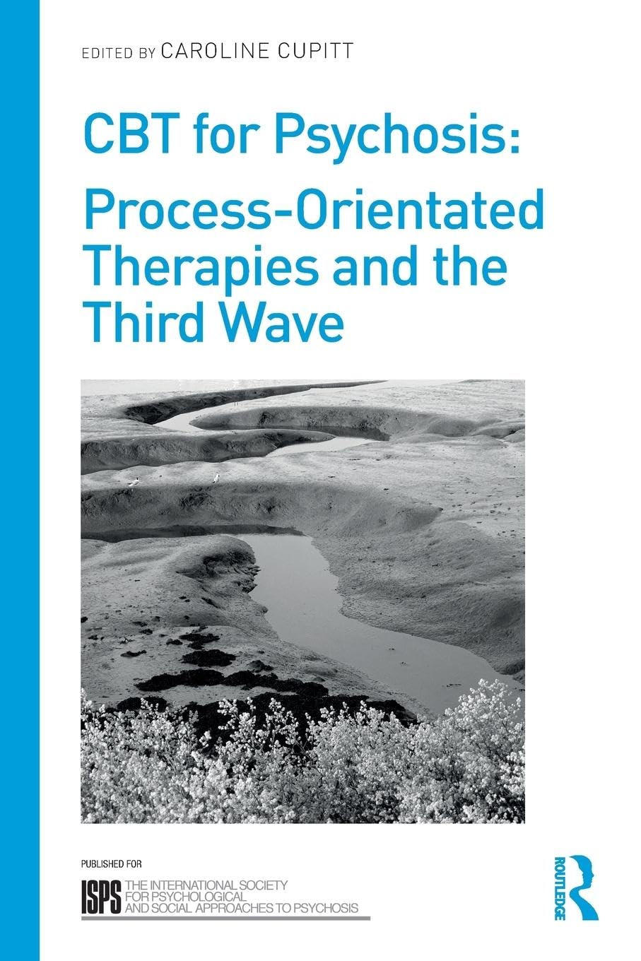 CBT for Psychosis: Process-orientated Therapies and the Third Wave (The International Society for Psychological and Social Approaches to Psychosis Book Series)