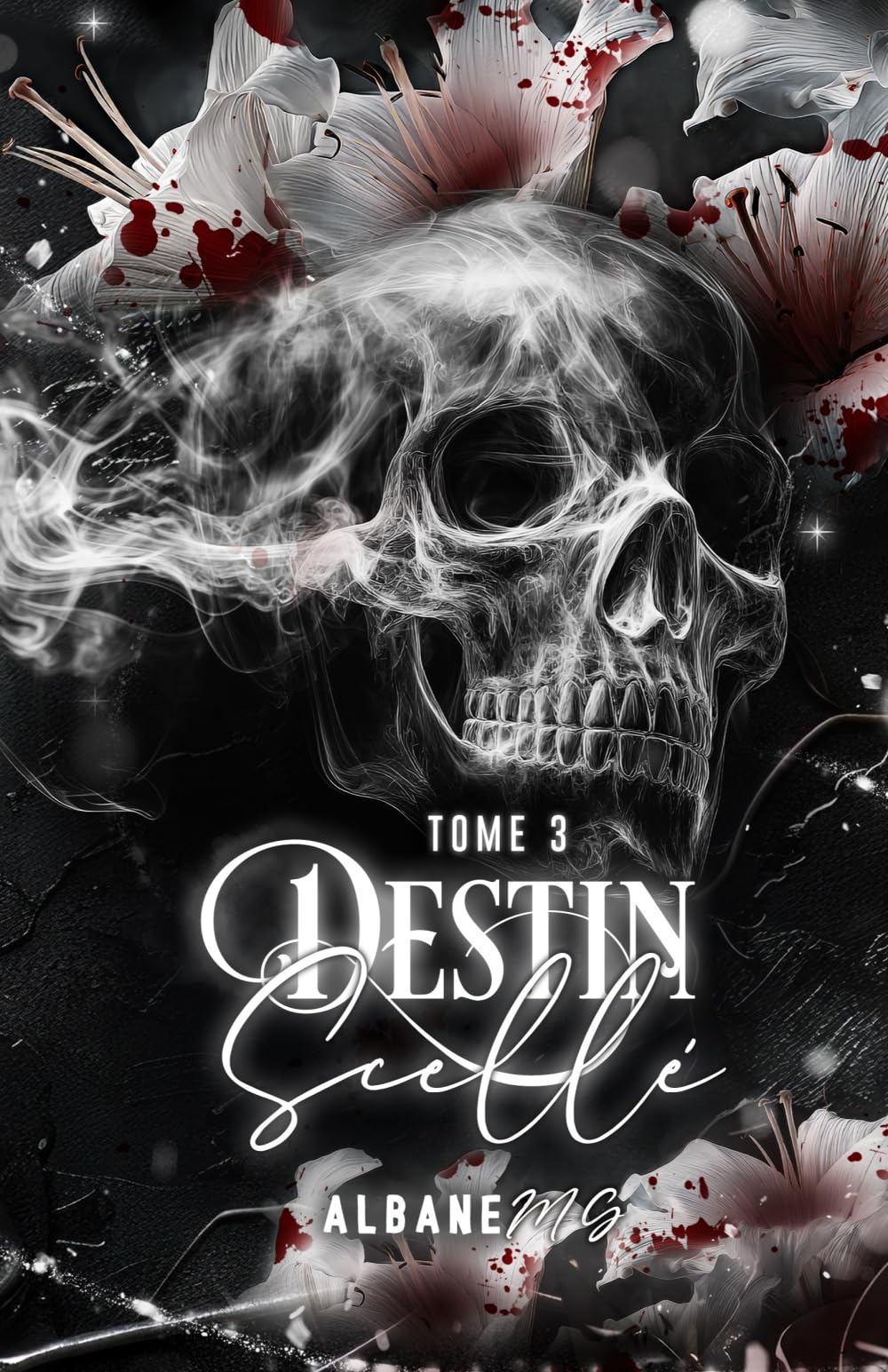 Destin Scellé (Série Destin)