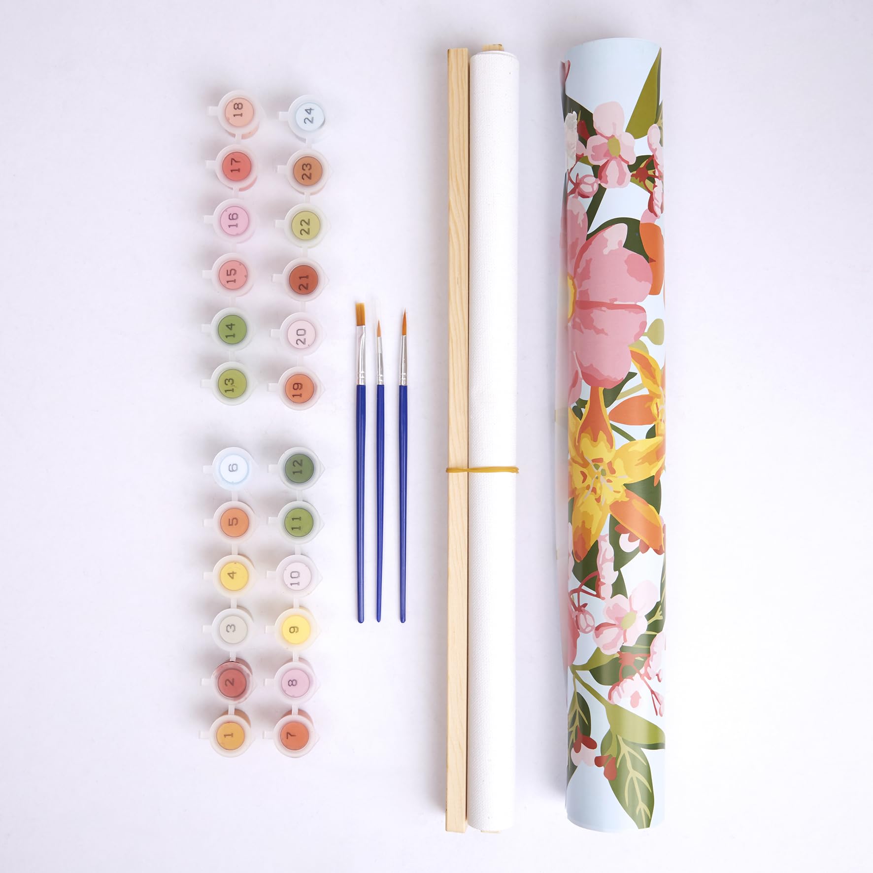 Colouring Rhs Bugs And Blooms Coloring Paper Roll 3 Meters RHS Bugs & Blooms ...