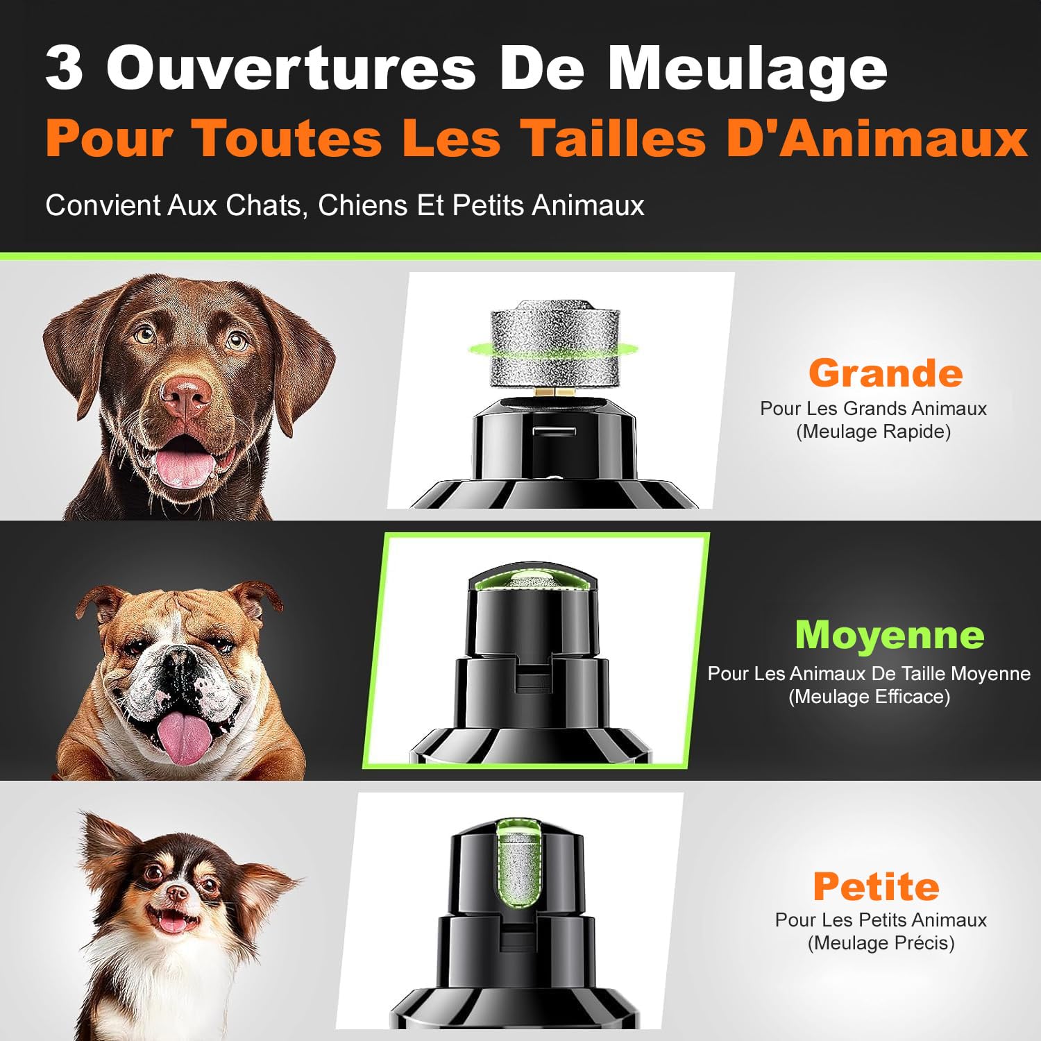 Taille-Ongles pour Chiens avec 4 LED, 3 Vitesses. Dernière génération de Lime à Ongles avec Ciseaux à Griffes, Ultra-silencieuse, Rechargeable, pour Chiens et Chats