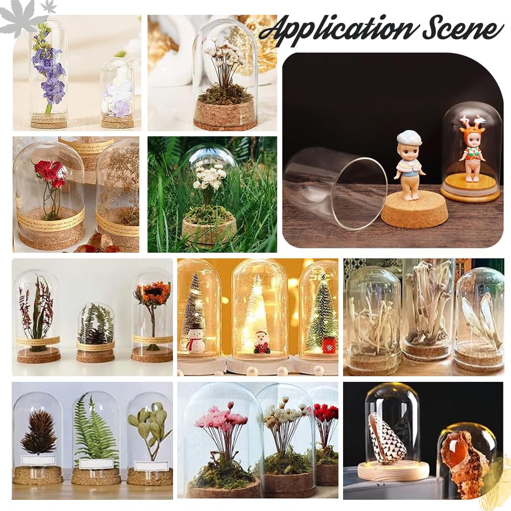 PH PandaHall 4pz Display In vetro Cupola Cloche Campana con Tappo In Sughero Piccole Bottiglie di Vetro Vasetti Decorativi Vetrina per La Conservazione Dei Fiori Casa Natale 6x9.9cm