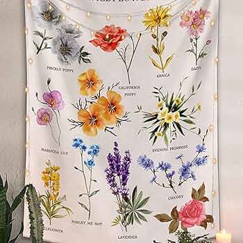 71G6YFDJqmL._AC_UF350, 71G6YFDJqmL._AC_UF350,