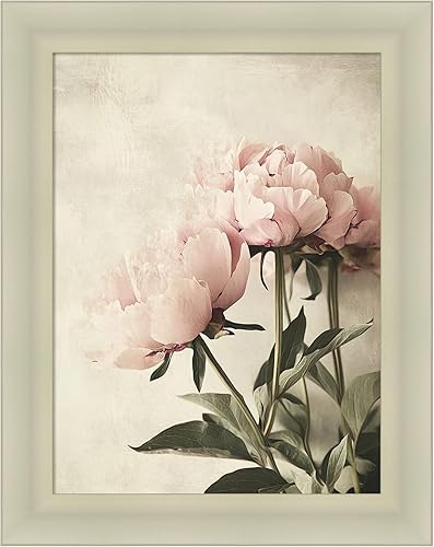 Amanti Art Framed Wall Art Print 29x23 Soft Floral No. 2 by Tradelink inhouse artist, Flowers Wall Art, Vintage Decor, Medium Poster Painting