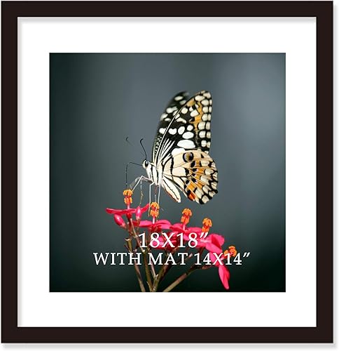 Miniatura 1 de VITOIVE Marco negro de 18 x 18 pulgadas con paspartú de madera maciza de 14 x 14 pulgadas, montaje en pared (1 paquete, 18 x 18 pulgadas)