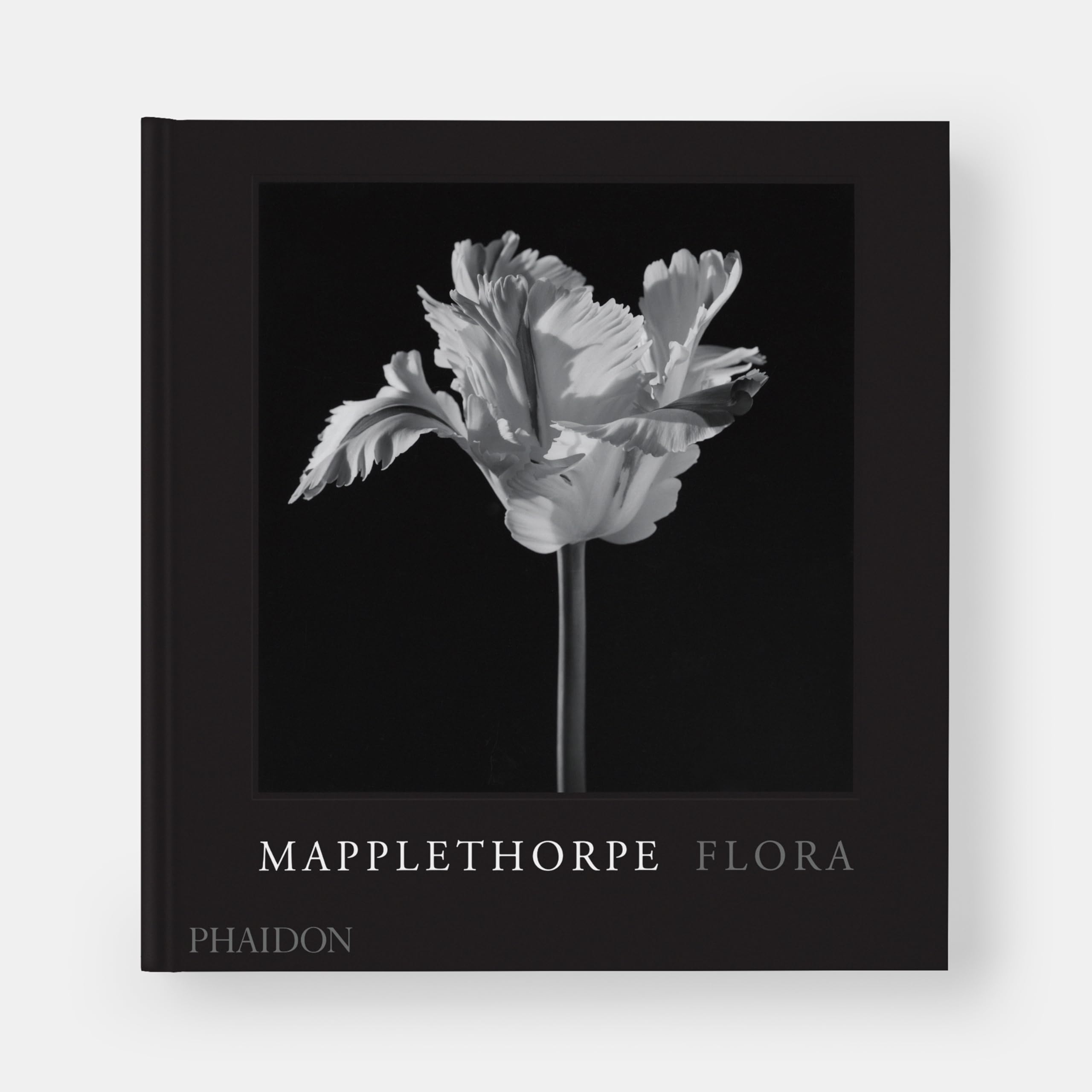 Flora: Les Fleurs de Mapplethorpe