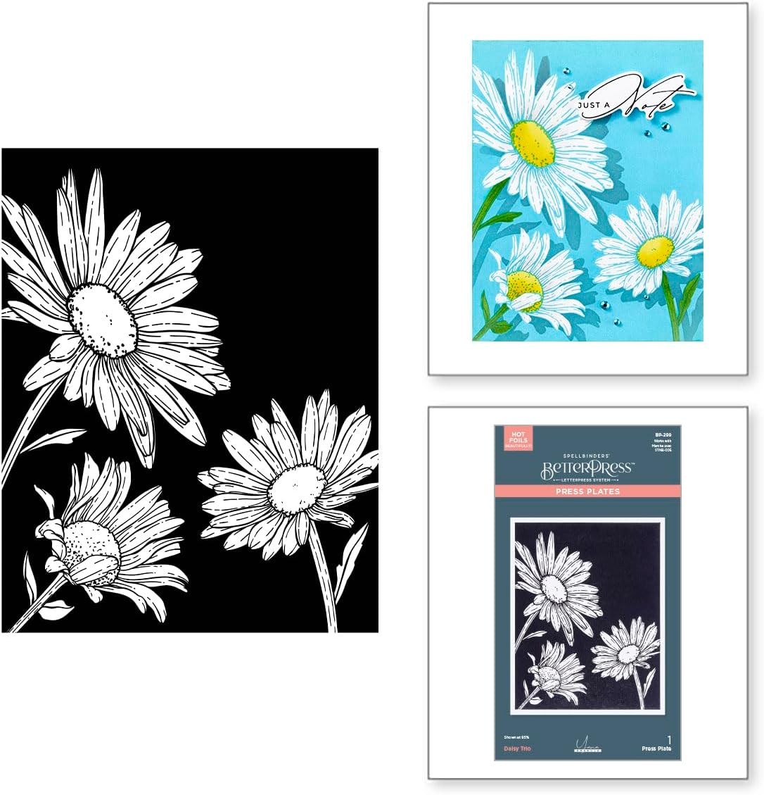 Spellbinders BP-299 Daisy Trio Press Plates from the Yana's Daisies Collection by Yana Smakula
