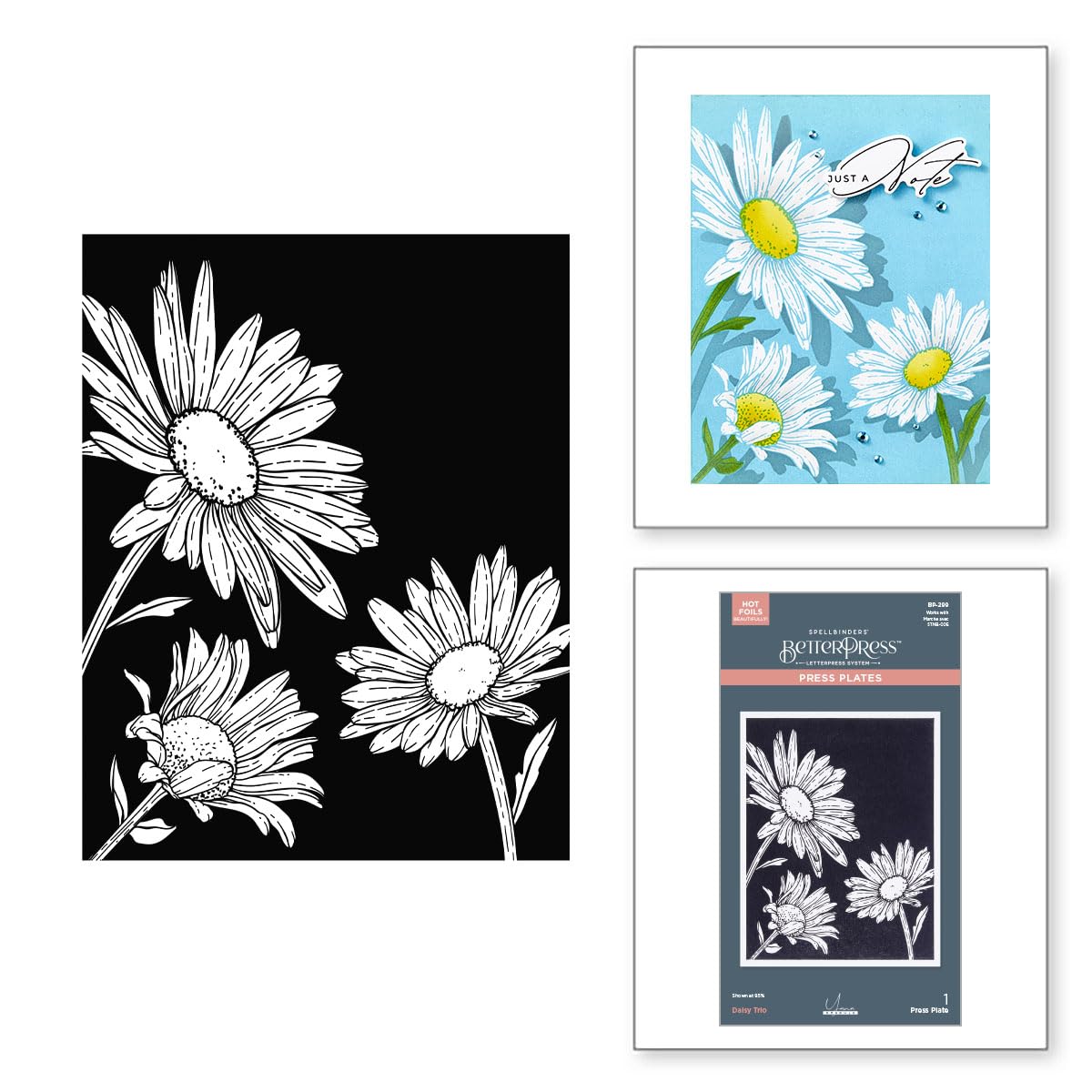 Spellbinders Daisy Trio Press Plates from the Yana's Daisies Collection by Yana Smakula