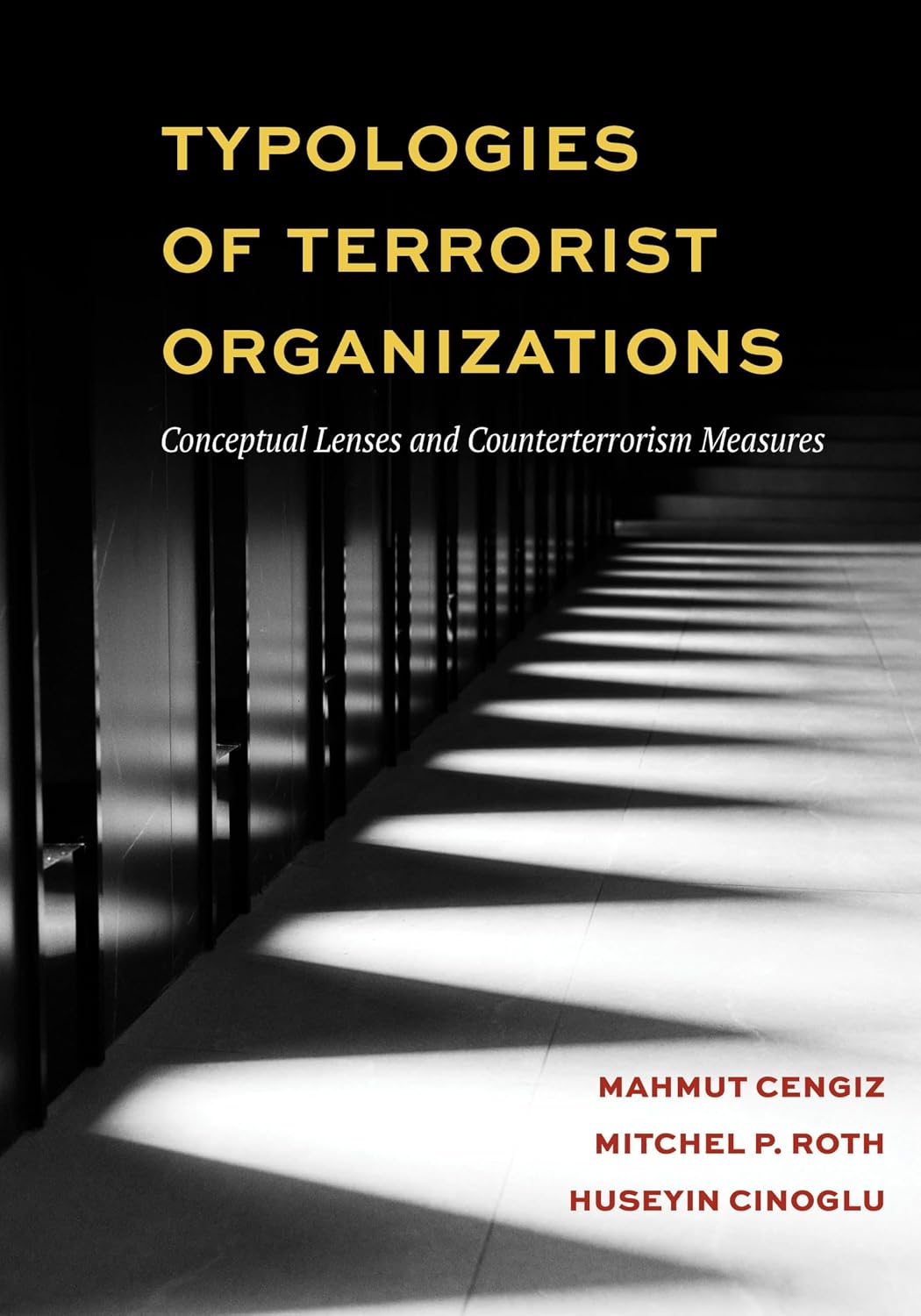 Typologies of Terrorist Organizations: Conceptual Lenses and Counterterrorism Measures