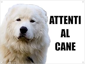 MAREMMANO Beware of the Dog, Model 1 Metal Sign (15 x 20)