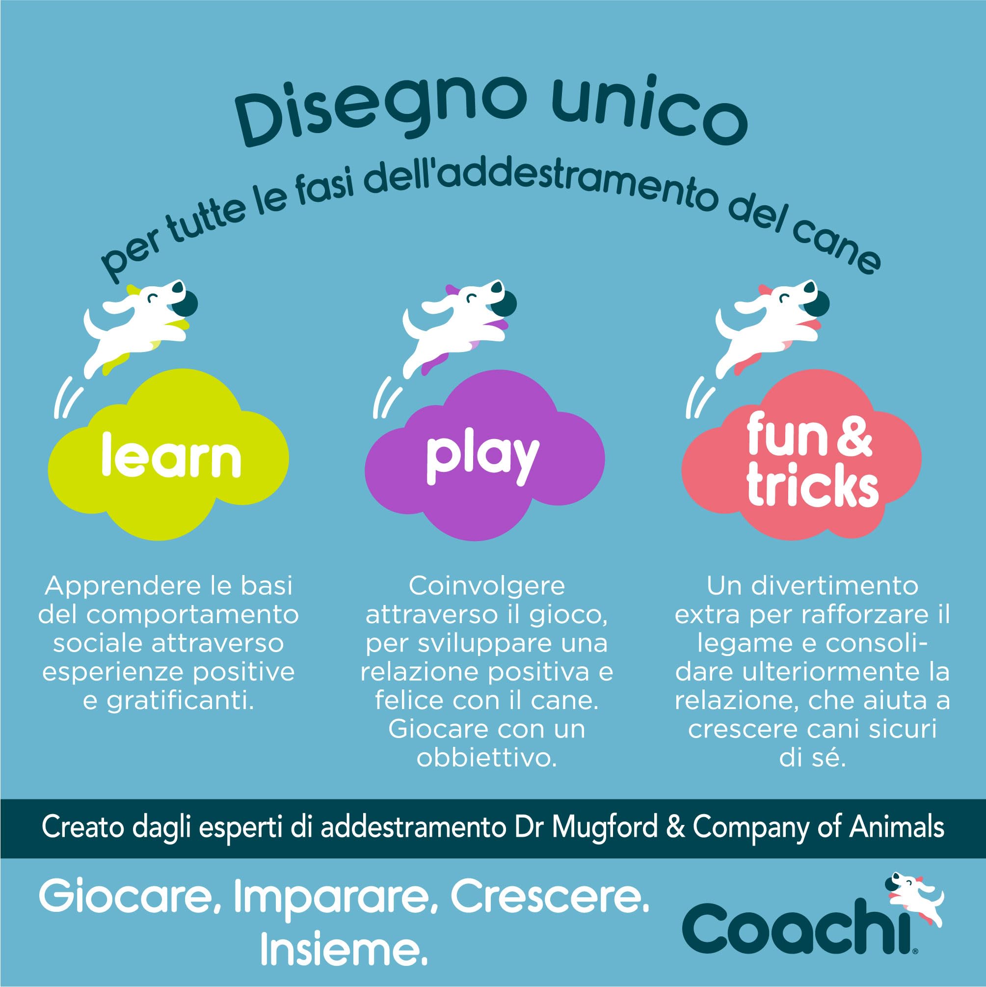Coachi Training Whistle, Perfetto per addestramento al richiamo e all’obbedienza, Suono Forte e Chiaro, Leggero e Compatto, Cordino Riflettente Regolabile, Adatto all’addestramento di Cani e Cuccioli