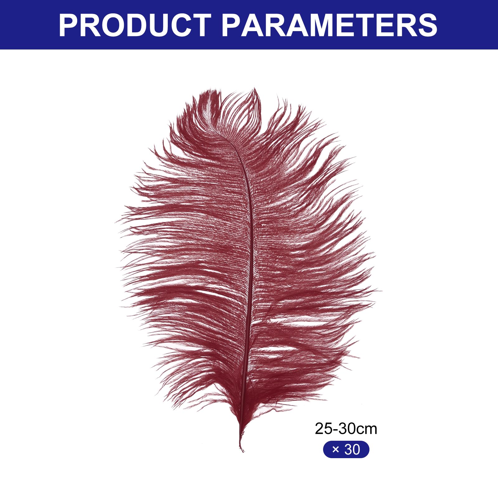 PATIKIL 30 Pcs Natural Ostrich Feathers Bulk 10-12 Inch/ 25-30 cm Large Ostrich Feathers for Crafts Home Decoration Wedding Party Vase Decor (Burgundy) - Image 2