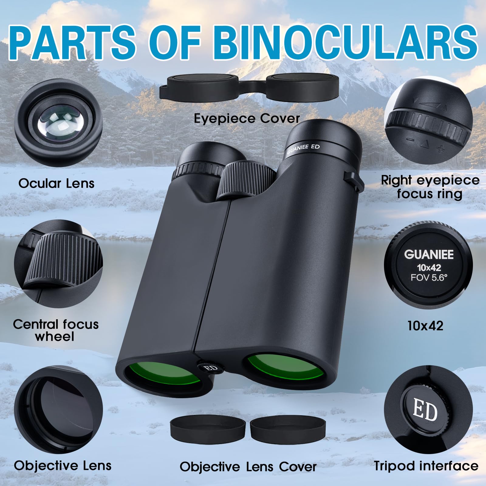 Prismáticos compactos de 10 x 42 pulgadas para adultos, de alta potencia, visión nocturna con poca luz, para observación de aves, caza, viajes, deportes al aire libre